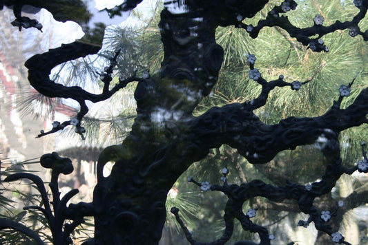 Mystery Tree, Shanghai, China Fine Art Print Of 2005 Photo by Ted Buckley